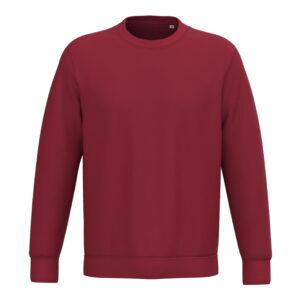 Sweatshirt Native Spirit NS403